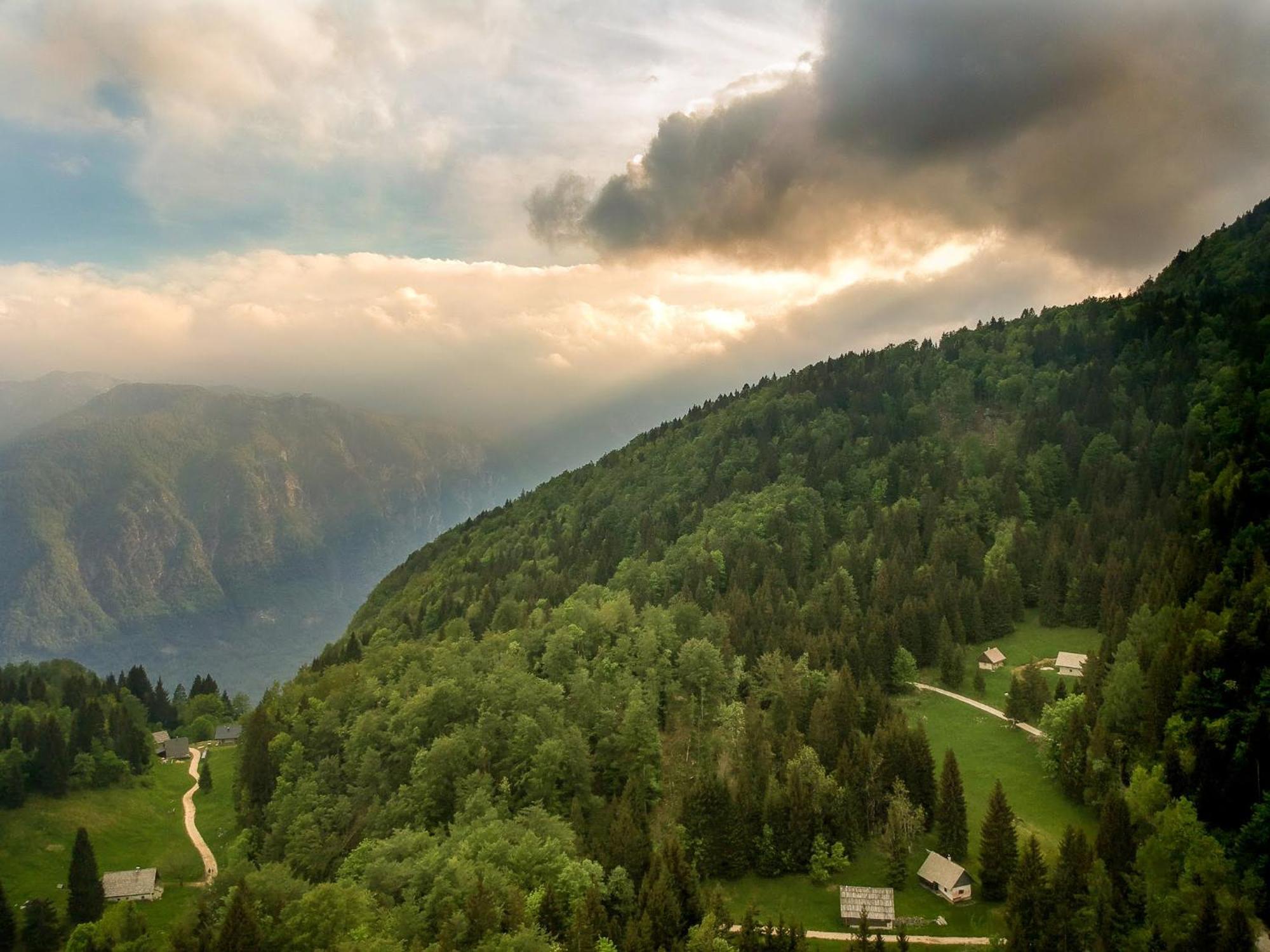 Chalet Vogar Bohinj Esterno foto